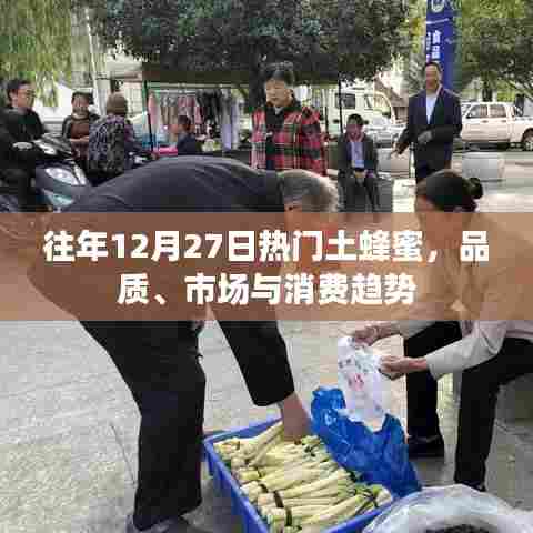 往年12月热门土蜂蜜,品质与市场消费趋势分析