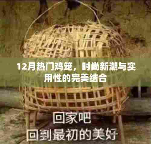 时尚鸡笼设计,实用与潮流的完美结合