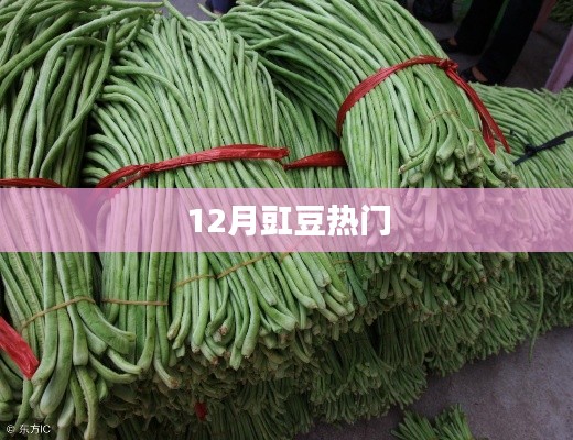 眉目如画 第2页