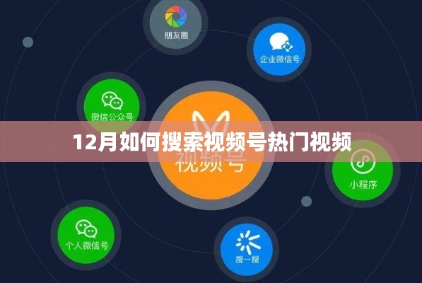 12月热门视频号搜索指南,轻松找到爆款视频