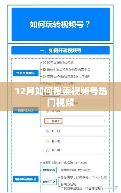 12月热门视频号搜索指南,轻松找到爆款视频