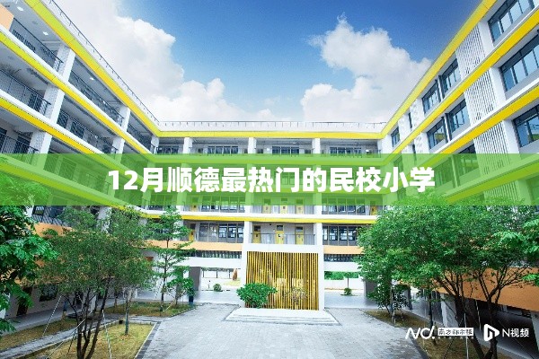 顺德民校小学热点盘点,12月最受瞩目