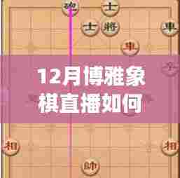 博雅象棋直播,揭秘上热门秘诀,12月直播攻略!