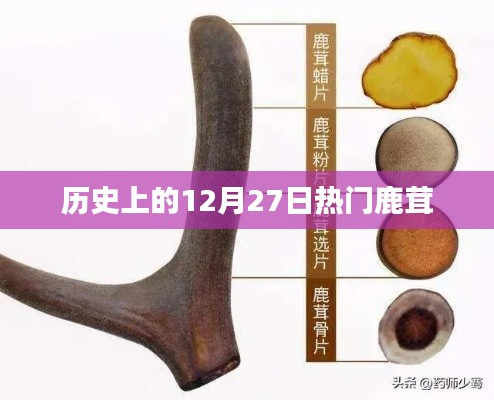 鹿茸历史，探寻十二月二十七日的热门时刻