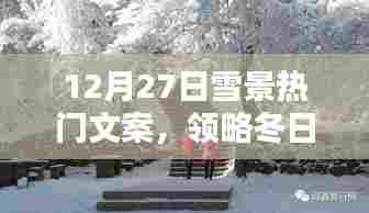 领略冬日雪景之美，热门文案欣赏，12月27日雪韵如画