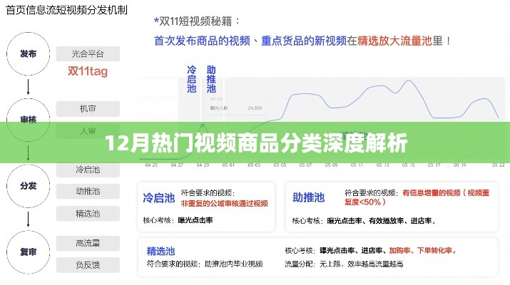12月热门视频商品分类深度解读