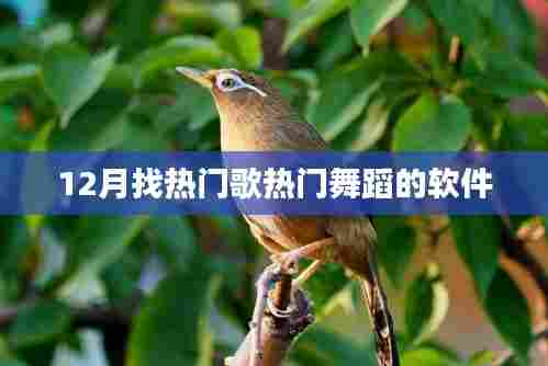 12月热门歌曲与舞蹈软件大搜罗