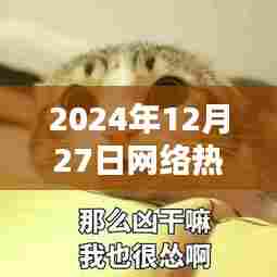 2024年超火猫咪表情图，全网热传！