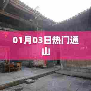 通山热点速递，01月03日热门资讯一网打尽