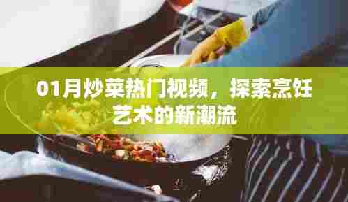 热门炒菜视频大解密,烹饪艺术新潮探索