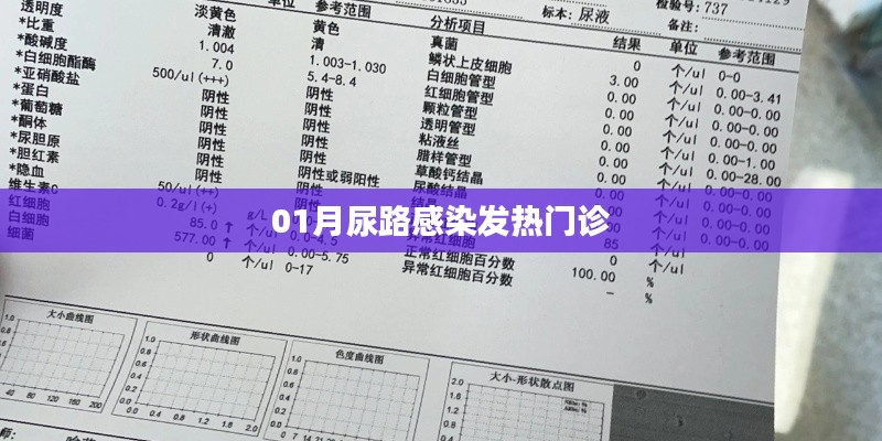 尿路感染发热就诊指南