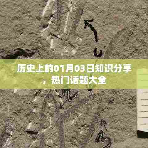 片口张舌 第3页