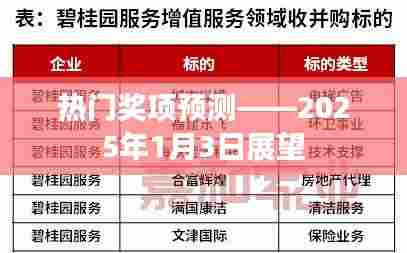 热门奖项预测，未来展望展望（展望日期，XXXX年）