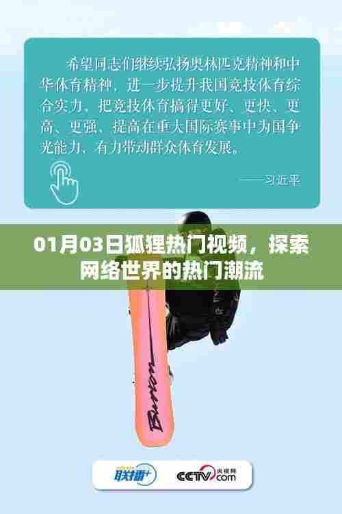 狐狸热门视频探索,网络世界潮流风向标