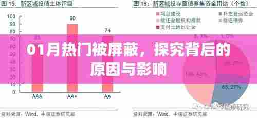 热门屏蔽背后的原因与影响深度解析