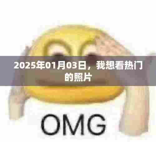 『2025年热门照片一览，不容错过』