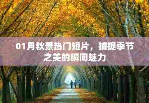 01月秋景短片,捕捉季节魅力的瞬间