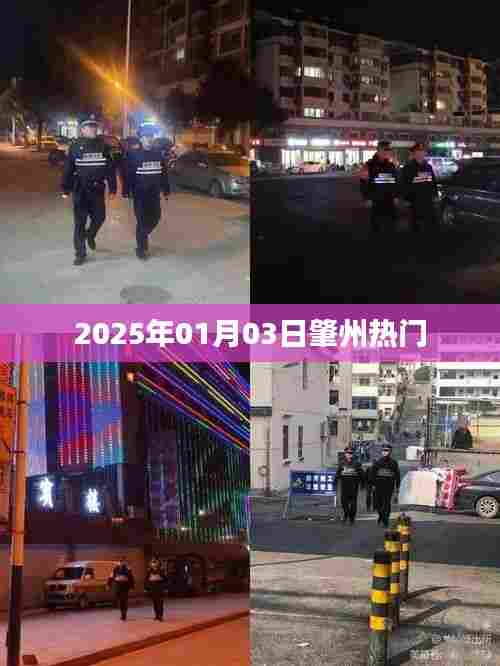 肇州最新热门资讯,2025年1月3日动态