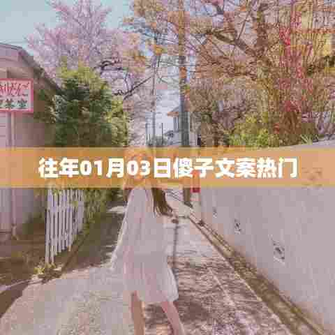 傻子文案热门回顾，历年精选佳作