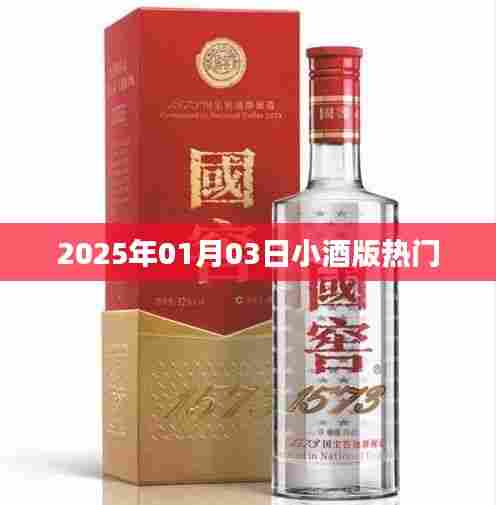 2025年小酒版热门风采