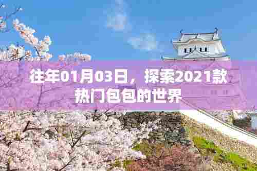 探索时尚新潮流，2021款热门包包流行趋势分析