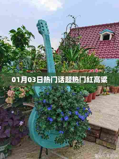 热门红高粱,01月03日热议话题