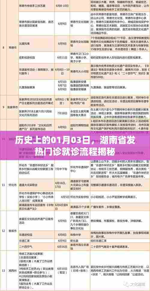 湖南省发热门诊就诊流程揭秘,历史视角的探访