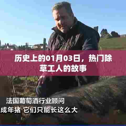 热门除草工人的故事，历史篇——一月三日记事