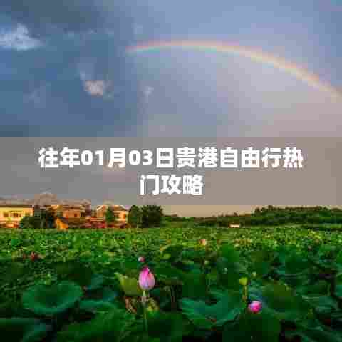 贵港自由行热门攻略,揭秘历年元旦出行秘籍