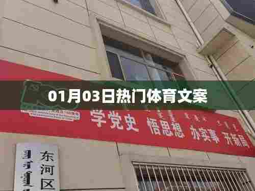 体育热点速递,一月三日精彩瞬间回顾