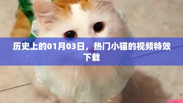 热门小猫视频特效下载,历史日期揭秘