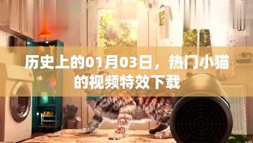 热门小猫视频特效下载,历史日期揭秘