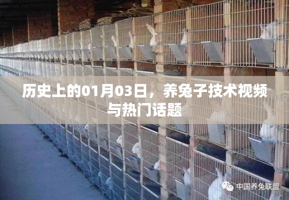 养兔技术视频盛行,历史一月三日热议话题