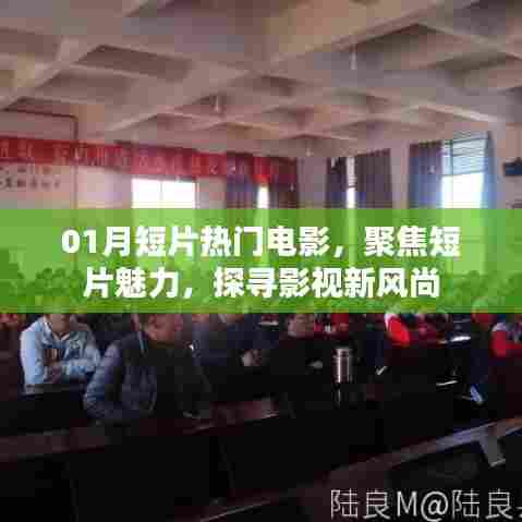 聚焦短片魅力,探寻影视新风尚,一月热门电影盘点