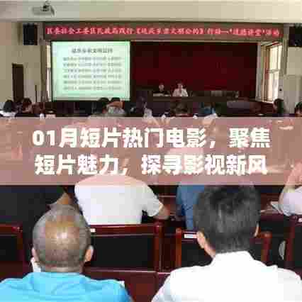 聚焦短片魅力,探寻影视新风尚,一月热门电影盘点