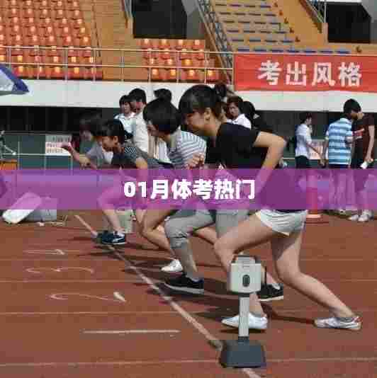 最新体考热点动态，一月关注热门资讯！