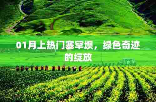 塞罕坝绿色奇迹，一月热度的绽放