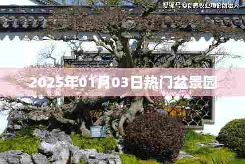 盆景园热门景点之旅，探访2025年元旦盆景盛宴