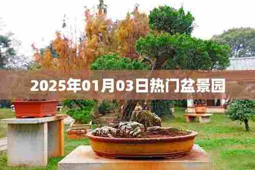 盆景园热门景点之旅,探访2025年元旦盆景盛宴
