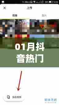 抖音热门视频合成分析图(一月版)