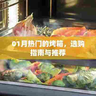 1月热门烤箱选购攻略,指南与推荐