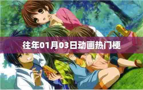 历年元旦后动画圈大热梗盘点