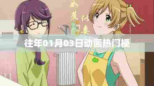 历年元旦后动画圈大热梗盘点