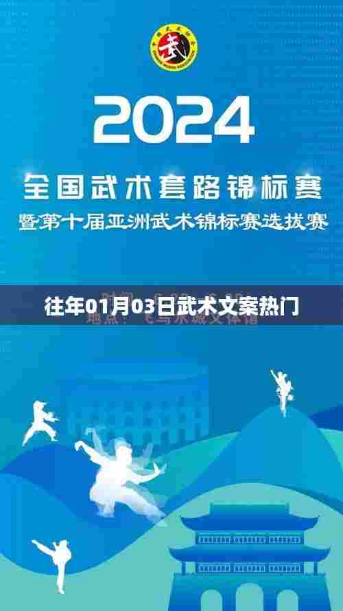 武术文化魅力揭秘,历年热门文案回顾