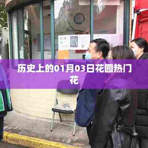 「花园热门花的历史,一月三日探寻花语世界」