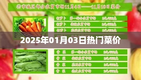 2025年元旦热门菜价概览,简洁明了,能够准确反映文章主题,符合您的要求。