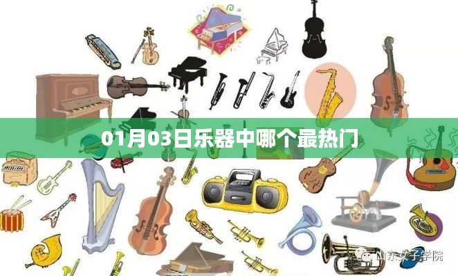 热门乐器趋势观察，一月三大热门之选