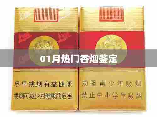 最新热门香烟鉴定指南