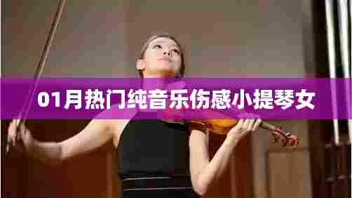 伤感小提琴女曲,一月热门纯音乐旋律