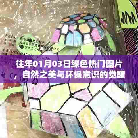 绿色热门图片，自然之美与环保意识的觉醒